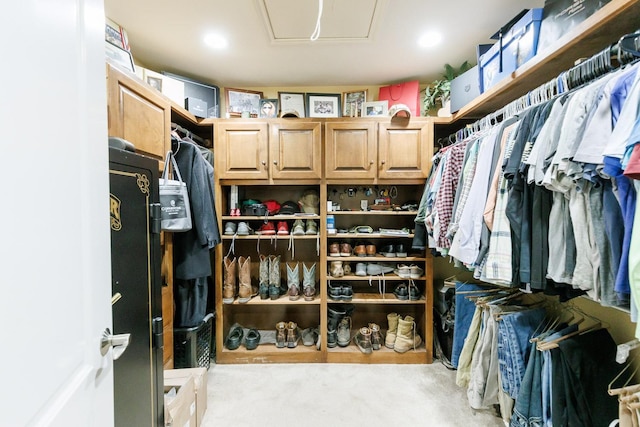 view of spacious closet