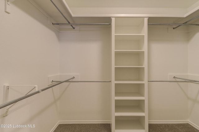 4020 125th St, Lubbock, TX 79423 - spacious closet with carpet flooring