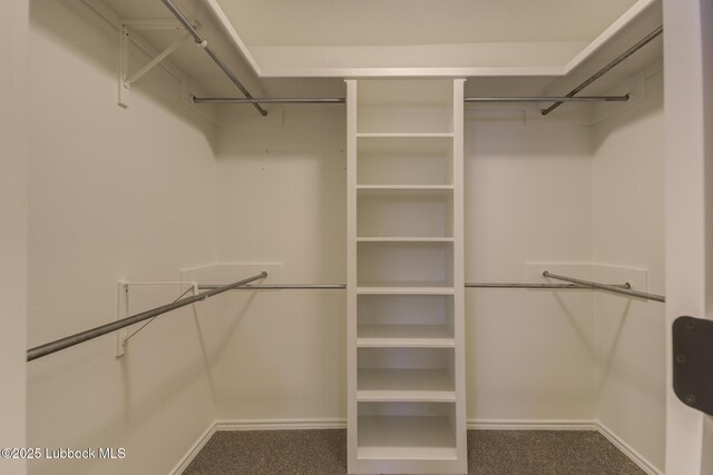 4020 125th St, Lubbock, TX 79423 - spacious closet featuring carpet floors