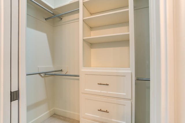 view of spacious closet