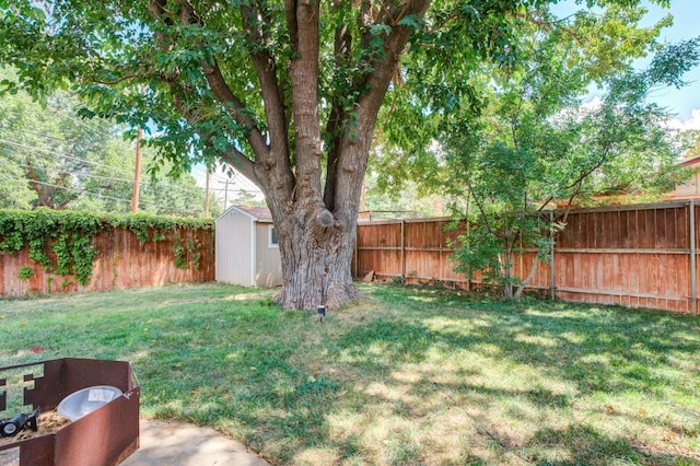 view of yard with a fenced backyard, an outdoor structure, and a storage unit