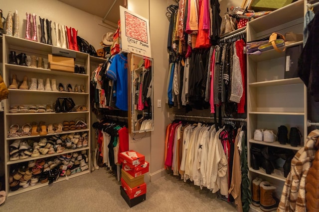 walk in closet with light colored carpet