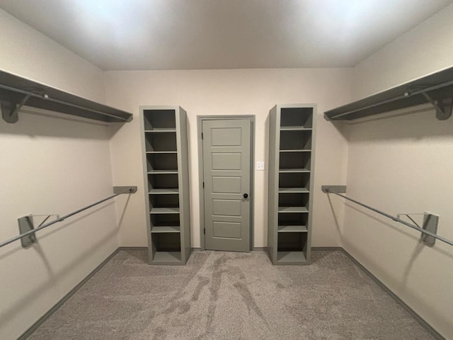 spacious closet with carpet