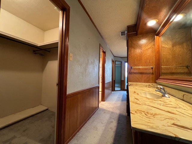 hall featuring sink, wood walls, a textured ceiling, and carpet