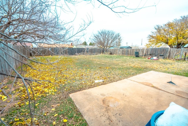 view of yard with a patio area