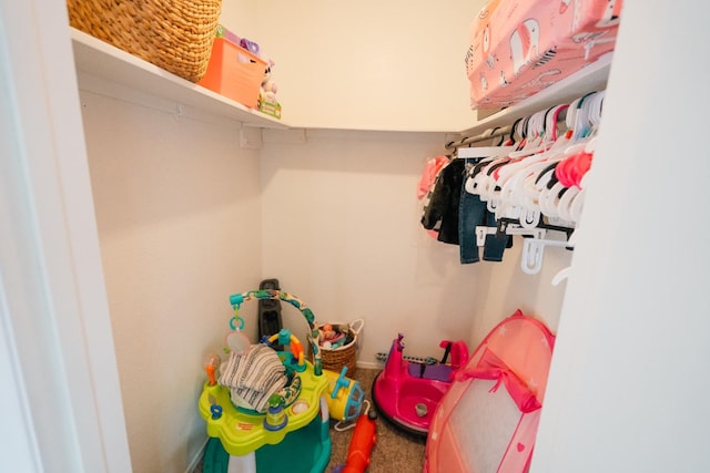 view of spacious closet