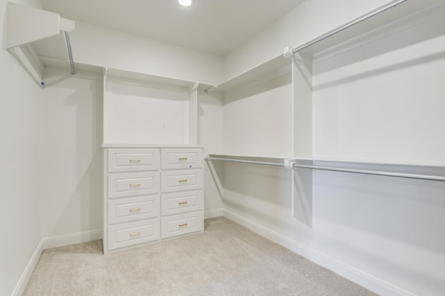 spacious closet with light colored carpet