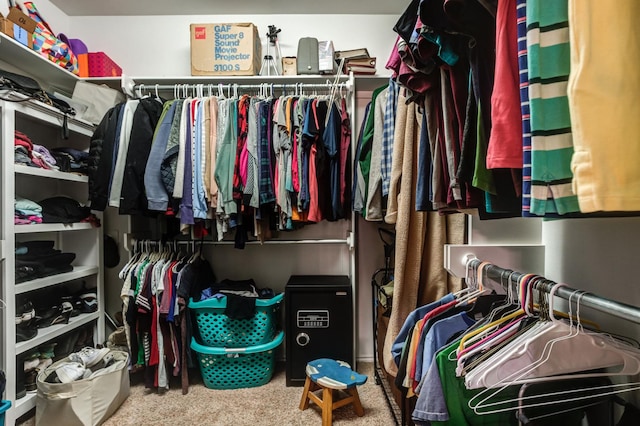 walk in closet with carpet floors