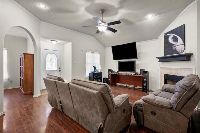 living room with ornamental molding, lofted ceiling, dark wood-type flooring, and a fireplace