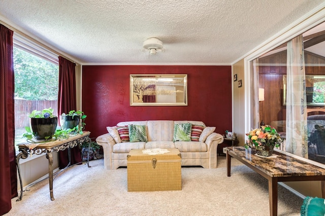 carpeted living room with ornamental molding and a textured ceiling