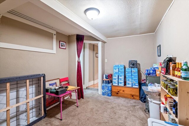 playroom featuring carpet flooring and a textured ceiling