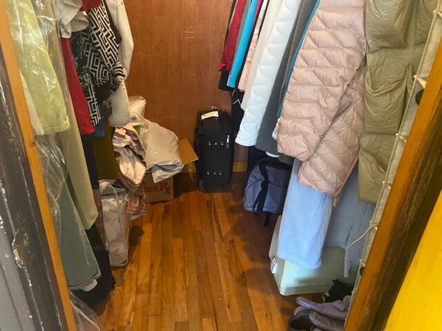 spacious closet featuring dark hardwood / wood-style floors