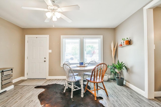 dining room featuring ceiling fan and light wood-type flooring