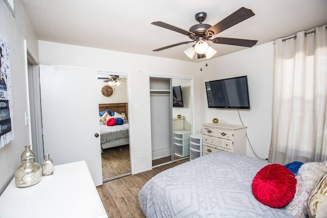 bedroom with ceiling fan, two closets, and light wood-type flooring