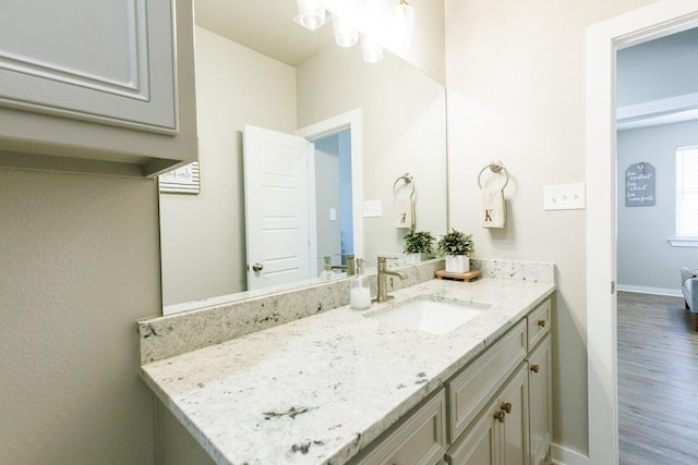 bathroom with hardwood / wood-style flooring and vanity