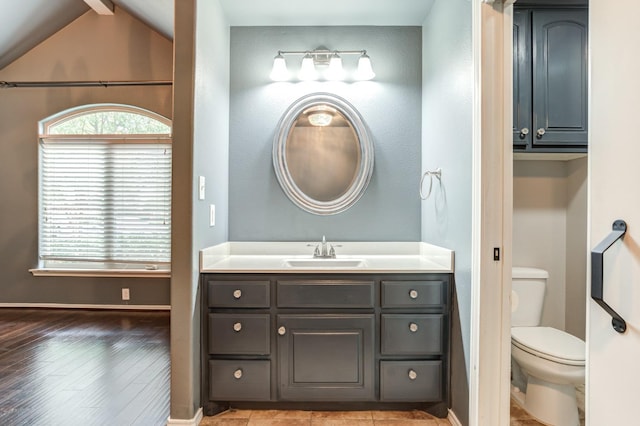 bathroom with vanity, wood-type flooring, and toilet