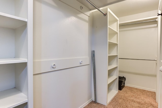 walk in closet with light carpet