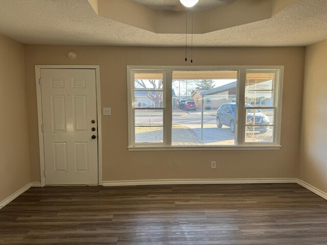 foyer featuring a healthy amount of sunlight, a textured ceiling, and dark hardwood / wood-style flooring