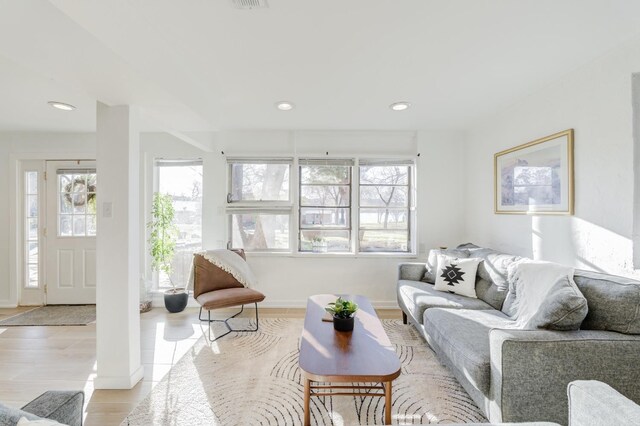 living room with light hardwood / wood-style floors and a healthy amount of sunlight