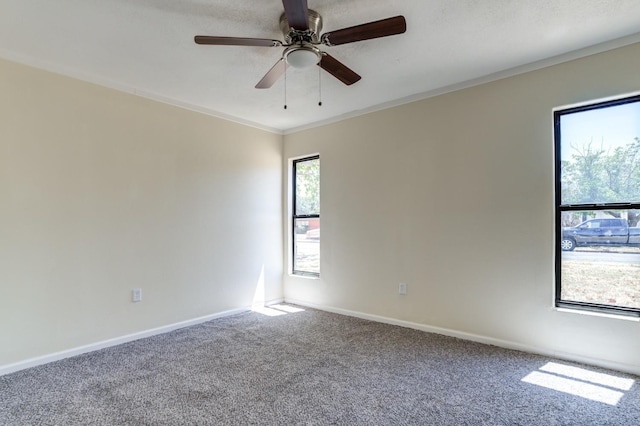 unfurnished room featuring crown molding, carpet floors, and ceiling fan