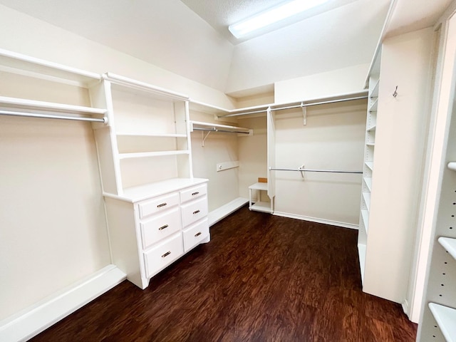 walk in closet featuring dark hardwood / wood-style flooring