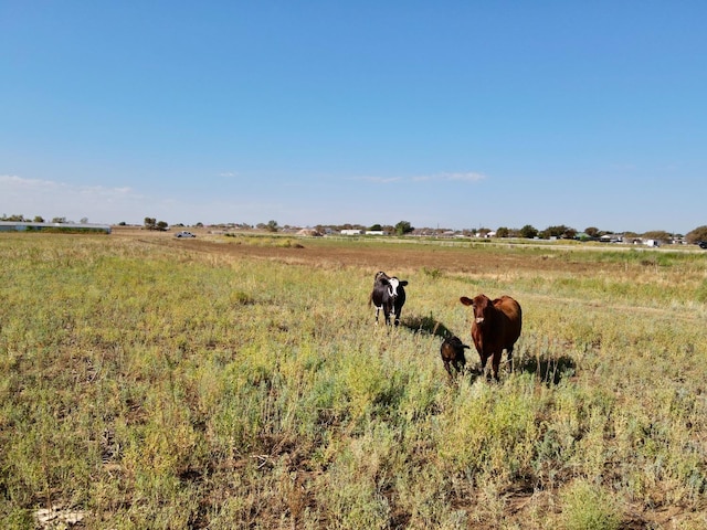 Listing photo 3 for 0 Woodrow Rd, Lubbock TX 79423