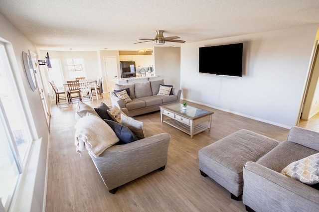 living room featuring ceiling fan, a textured ceiling, and light hardwood / wood-style flooring