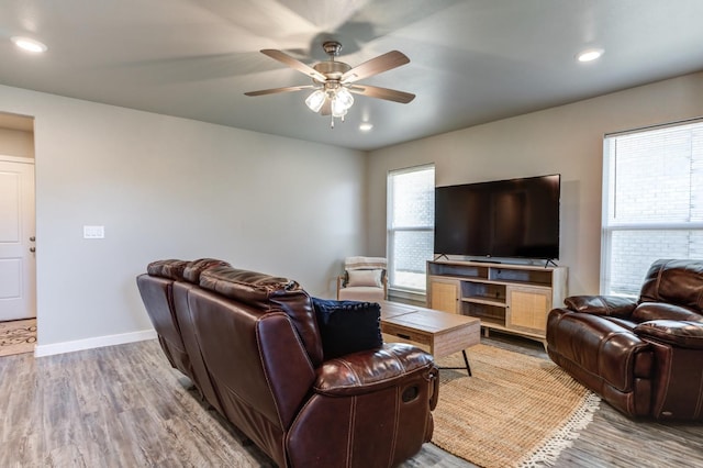 living room with ceiling fan and light wood-type flooring