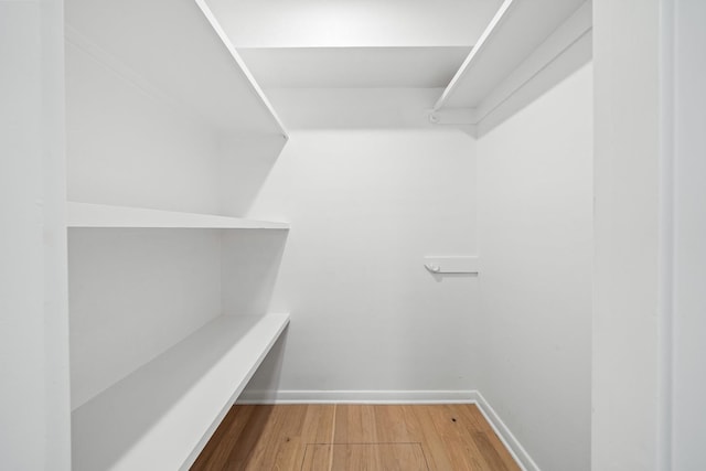 spacious closet with hardwood / wood-style flooring