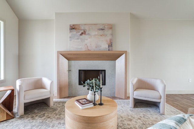 living area featuring hardwood / wood-style floors and a fireplace