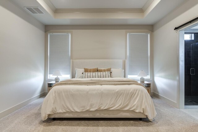 carpeted bedroom with a tray ceiling