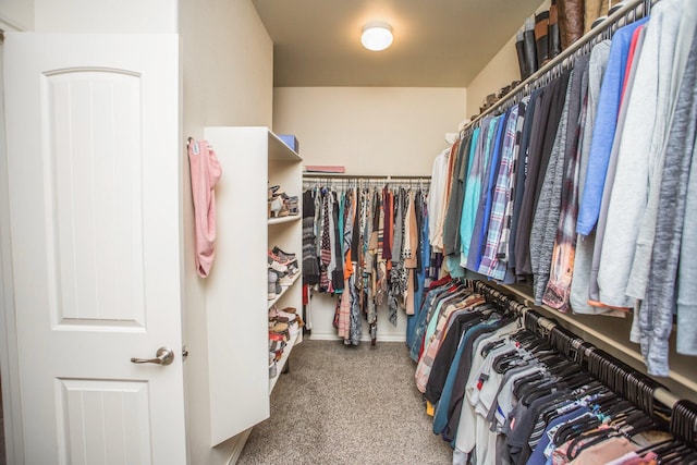 walk in closet with carpet floors