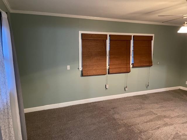 empty room featuring ornamental molding, ceiling fan, and carpet