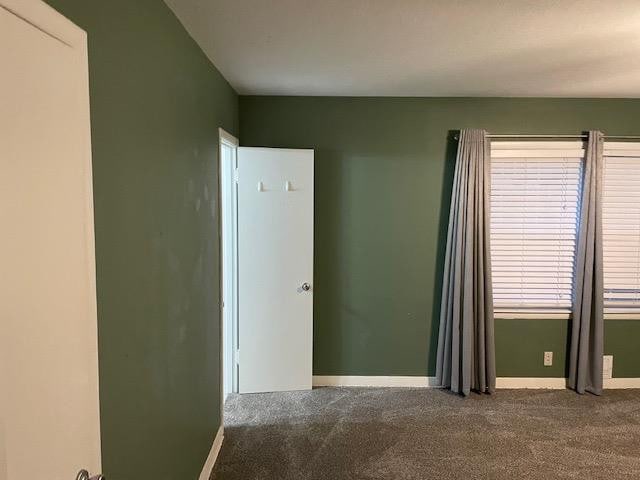 unfurnished room with carpet flooring