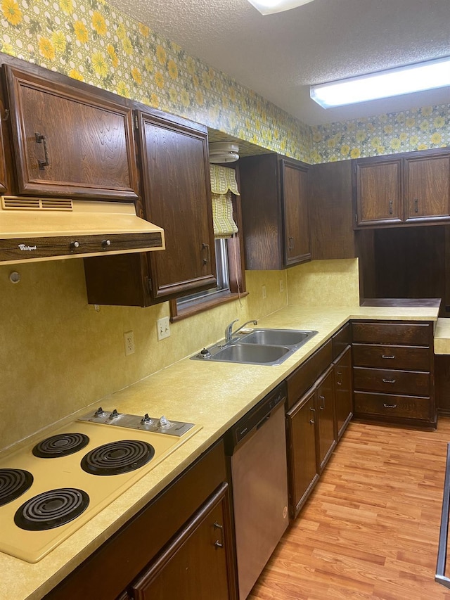 kitchen featuring white electric cooktop, sink, light wood-type flooring, stainless steel dishwasher, and a textured ceiling