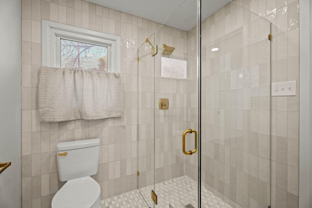 bathroom featuring a shower stall and toilet