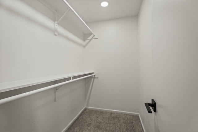 walk in closet featuring carpet floors