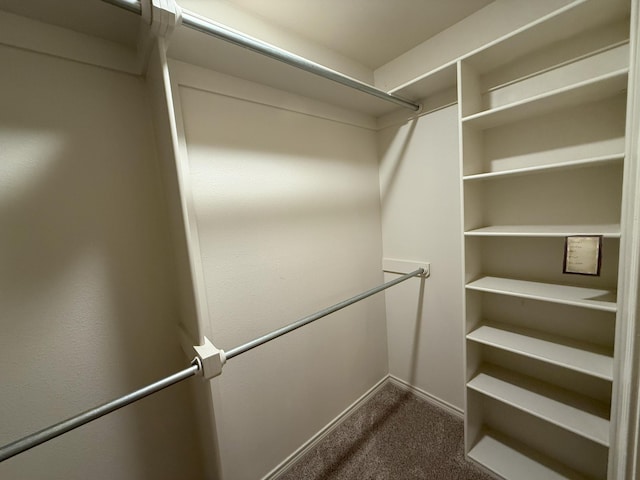 spacious closet with carpet flooring