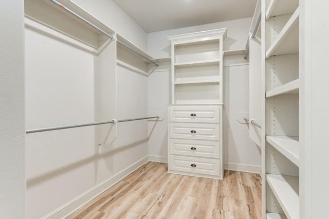 spacious closet featuring light wood-type flooring