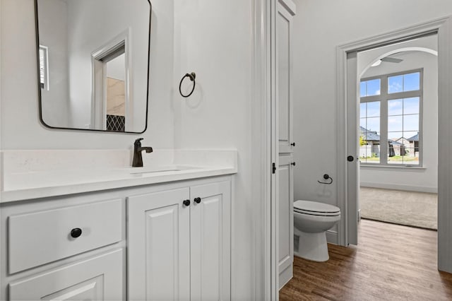 bathroom featuring vanity, wood-type flooring, and toilet