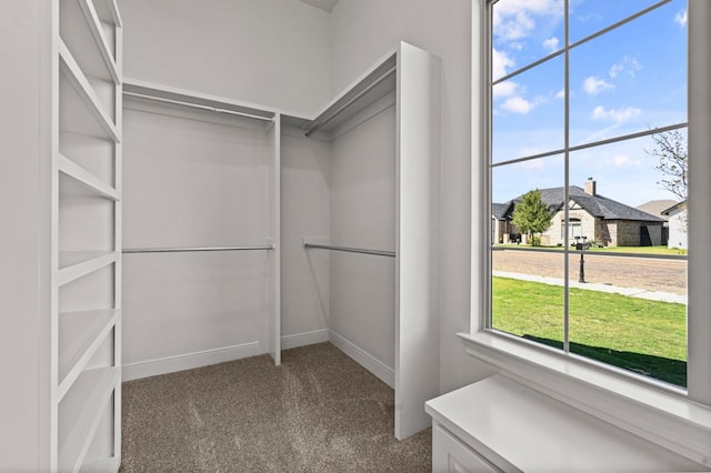 spacious closet featuring carpet floors