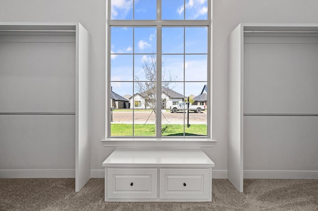 interior space with carpet floors