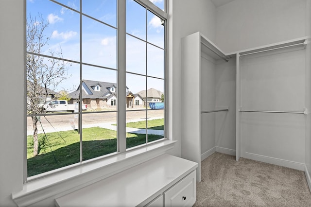 walk in closet featuring light carpet