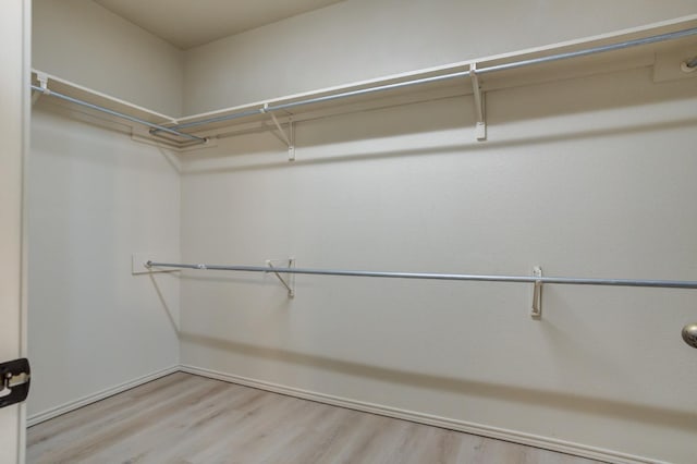 spacious closet featuring hardwood / wood-style flooring