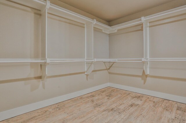 spacious closet featuring wood-type flooring