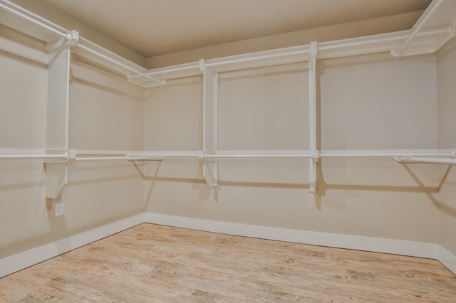 walk in closet with wood-type flooring