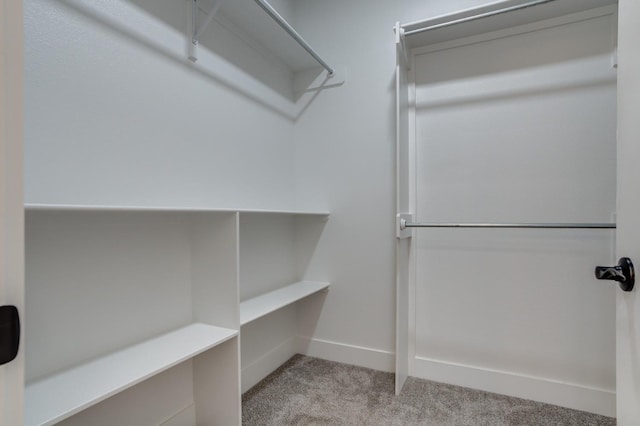 spacious closet featuring light colored carpet