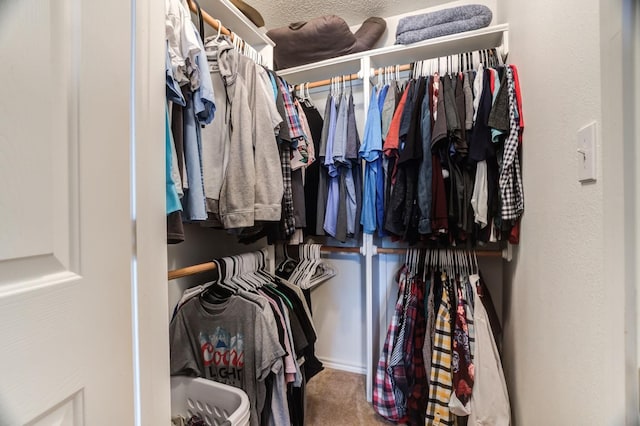 spacious closet featuring carpet floors