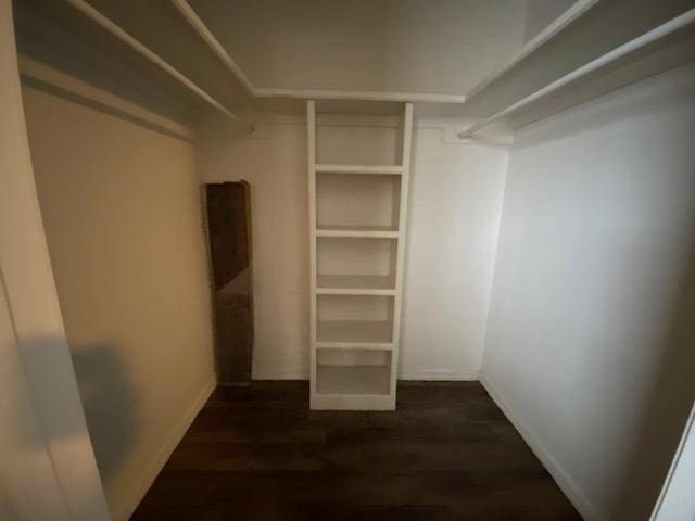 walk in closet with dark wood-type flooring