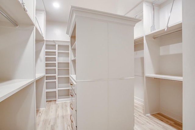 spacious closet with light hardwood / wood-style floors